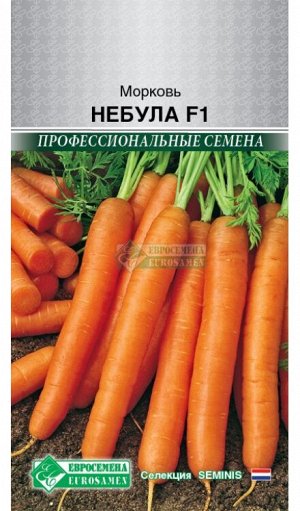 Морковь Небула F1 (150 шт)