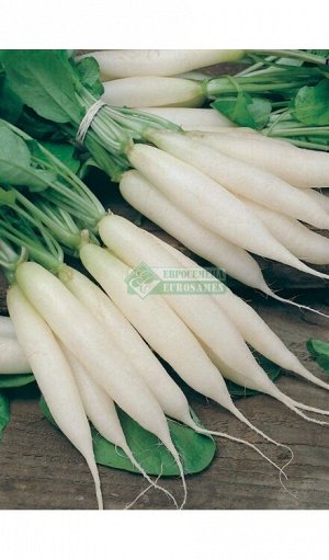 Редис Светлячок (2 гр)