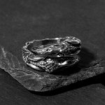 Кольцо &quot;Перстень&quot; дракон в спячке, цвет чернёное серебро, безразмерное