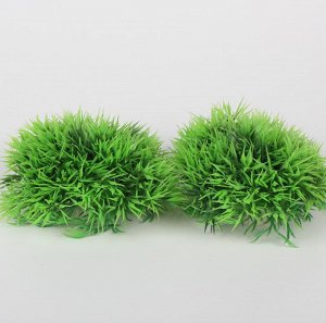 Декоративные водоросли