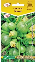 Кабачок МЯЧИК (10шт)
