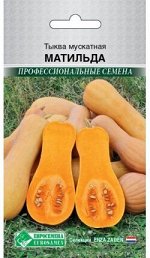 Тыква мускатная Матильда (3 шт)