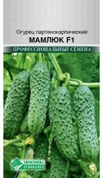 Огурец партенокарпик Мамлюк F1 (5 шт)