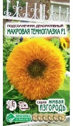 Подсолнечник декоративный Махровая Темноглазка (5 шт)
