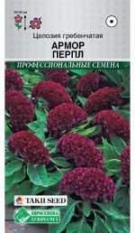Целозия гребенчатая Армор Перпл (10 шт) /Takii