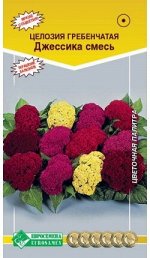 Целозия гребенчатая ДЖЕССИКА ,смесь (20 шт)