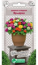 Цинния изящная Ярмарка (10 шт)