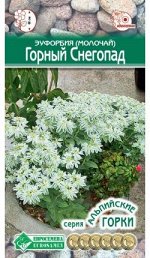 Эуфорбия (молочай) окаймленный Горный Снегопад (10 шт)