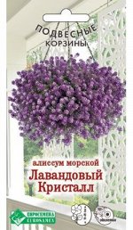 Алиссум морской Лавандовый Кристалл (0,02 гр)