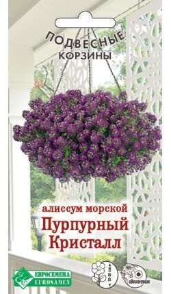 Алиссум морской Пурпурный Кристалл (0,02 гр)