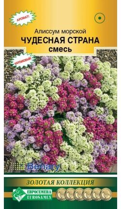 Алиссум морской Чудесная Страна, смесь (10 драже)