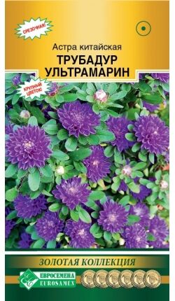 Астра китайская Трубадур Ультрамарин (10 шт)