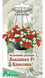 Бальзамин уоллера Лоллипоп F1 Классика (8 шт)