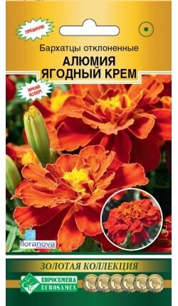 Бархатцы отклоненные Алюмия Ягодный Крем (10 шт)