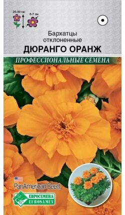 Бархатцы отклоненные Дюранго Оранж (10 шт)