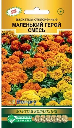 Бархатцы отклоненные Маленький Герой смесь (10 шт)
