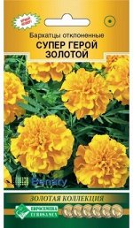 Бархатцы отклоненные Супер Герой золотой (10 шт)