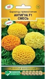 Бархатцы прямостоячие Антигуа F1, cмесь (10 шт)
