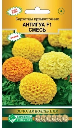 Бархатцы прямостоячие Антигуа F1, cмесь (10 шт)