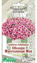 Вербена гибридная Обсешн Многоликая моя (10 шт)