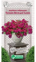 Вербена гибридная Тускани Веселые Глазки (10 шт)