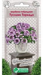 Вербена гибридная Тускани Торнадо (8 шт)
