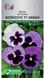 Виола виттрока Колоссус Океан F1 (5 шт)