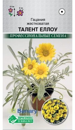 Гацания жестковатая Талент Еллоу (5 шт)