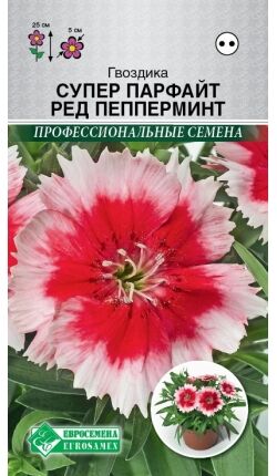 Гвоздика китайская Супер Парфайт Ред Пепперминт (5 шт)