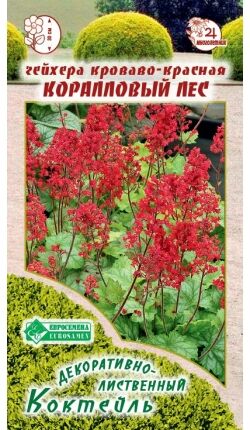 Гейхера кроваво-красная Коралловый Лес (7 шт)