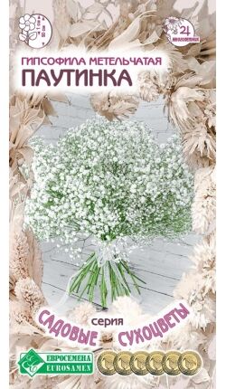 Гипсофила метельчатая Паутинка (0,1 гр)