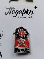 Значок &quot;Элеутерококк&quot;.