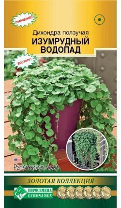 Дихондра ползучая Изумрудный Водопад (3 драже)