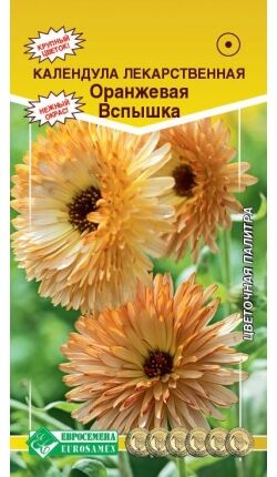 Календула лекарственная ОРАНЖЕВАЯ ВСПЫШКА (0,1 гр)