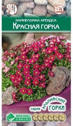 Камнеломка арендса Красная Горка (10 драже)