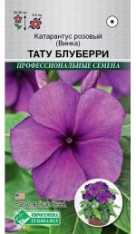 Катарантус розовый (Винка) Тату Блуберри (5 шт)
