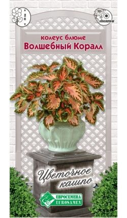 Колеус блюме Волшебный Коралл (10 шт)