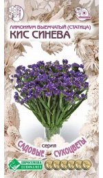Лимониум выемчатый (статица) Кис Синева (15 шт)
