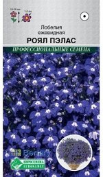 Лобелия ежевидная Роял Пэлас (10 драже)