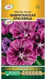 Мальва лесная МАВРИТАНСКАЯ КРАСАВИЦА (10 шт)