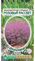 Мюленбергия бесстрашная Розовый Рассвет (5 шт)