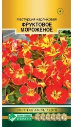 Настурция малая Фруктовое Мороженое (5 шт)