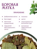 Боровая матка