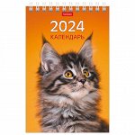 Календарь-домик настольный на гребне на 2024 г., 105х160 мм, вертикальный, &quot;МУРчат Коты&quot;, HATBER, 12КД6гр_28412