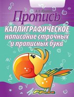 Каллиграфическое написание строчных и прописных букв