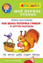 (Обл) Айфолика. Мое первое чтение (читаем слова по дугам). Шестакова И. Как белка потеряла грибок и другие рассказы (3189)