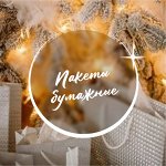 Пакеты Новогодние бумажные