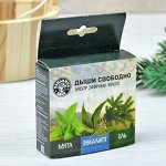 Набор эфирных масел &quot;Дыши свободно&quot; (Мята, Эвкалипт, Ель)
