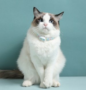 Ошейник от блох и клещей для животных Anis Cat Collar 52 см