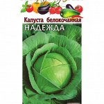 Семена баклажаны, бахчевые, кабачки, капуста, тыква